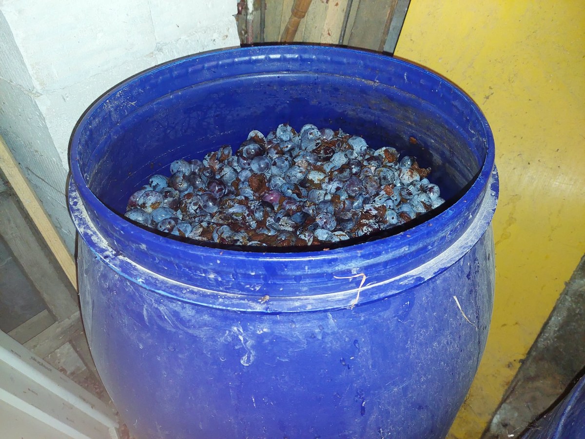 Vând borhot de prune – 1.200 litri – Săpunari, Argeș.