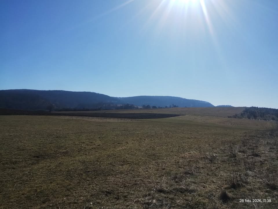 Teren extravilan 2 Hectare in Saschiz - teren plat, acces din DN13