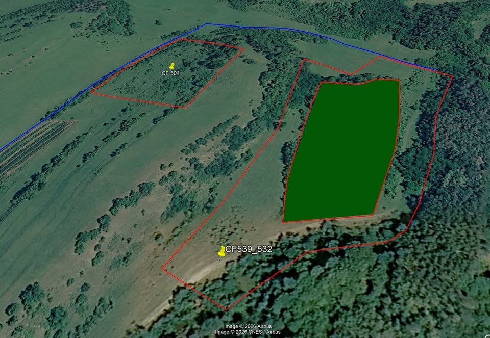 Teren extravilan 1.85 Ha intre dealuri cu mica padure in Saschiz