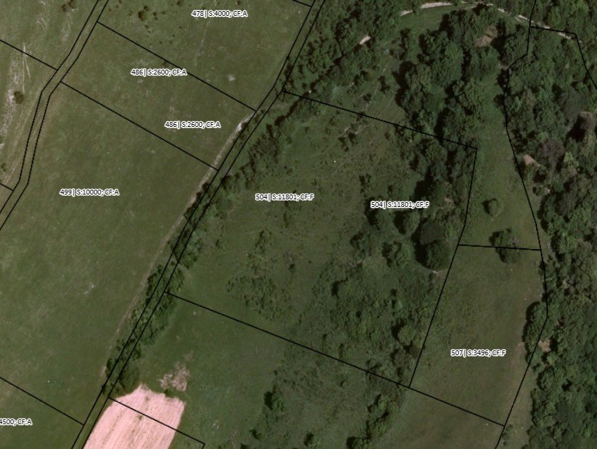 Teren extravilan 1.18 Ha pasune/fanete in Saschiz - panta lina